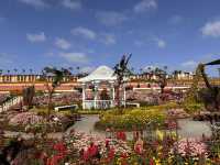 🌸 봄을 수놓는 카르즈배드 플라워 필즈 (Carlsbad Flower Fields)