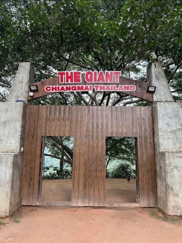 The Giant Chiangmai คาเฟ่บนต้นไม้
