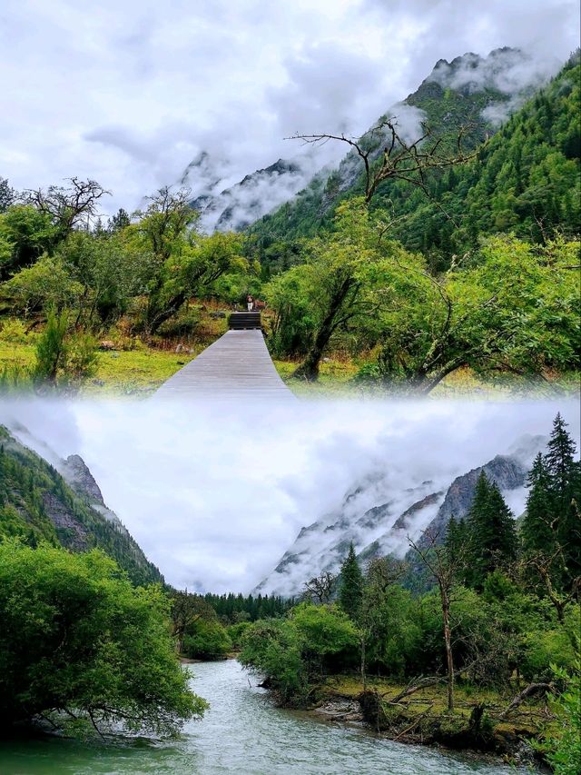長坪溝徒步--歷史及原始生態探秘
