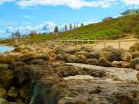 Bibbulmun Track｜探索世界級健行步道