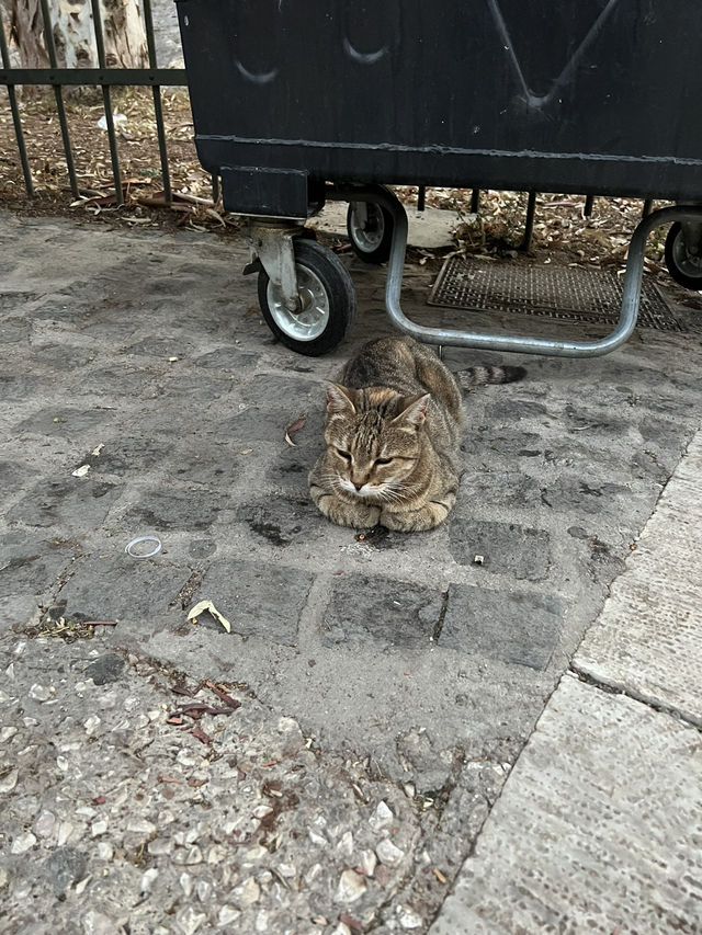 🇬🇷 希臘首都：雅典（Athens） 🏛️