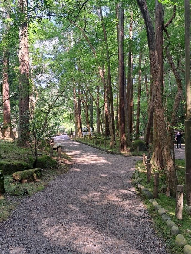 มุมลับวัดนาริตะซัง จุดรับพลังงานดีๆ ที่ต้องมา🌿 มุมลับวัดนาริตะซัง จุดรับพลังงานดีๆ ที่ต้องมา🌿