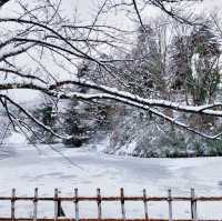 ปราสาทนกกระเรียน ❄️ Tsuruga Castle