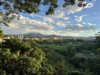 桃園大溪半日遊推薦 中正公園 大溪木藝生態博物館