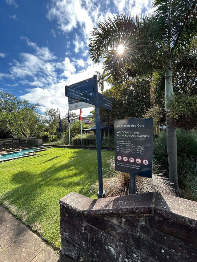 My Stroll Through Royal Botanical Gardens Sydney