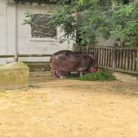 雲南昆明親子必去玩樂景點🏮昆明動物園
