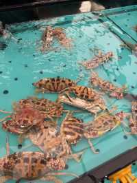 🦞荃灣姐妹快集合!3小時海鮮自由+瘋狂回本攻略!💰人均$298嘆活鮑魚/大花蟹/海蝦!即撈即煮超震撼