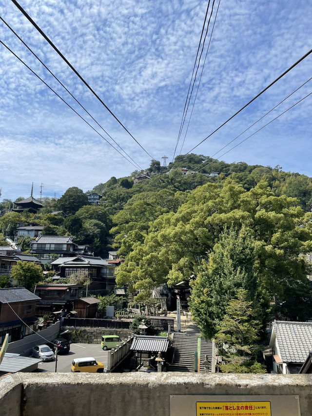 【3分で絶景スポットへ】 30人乗りのゴンドラ 【3分で絶景スポットへ】 30人乗りのゴンドラ