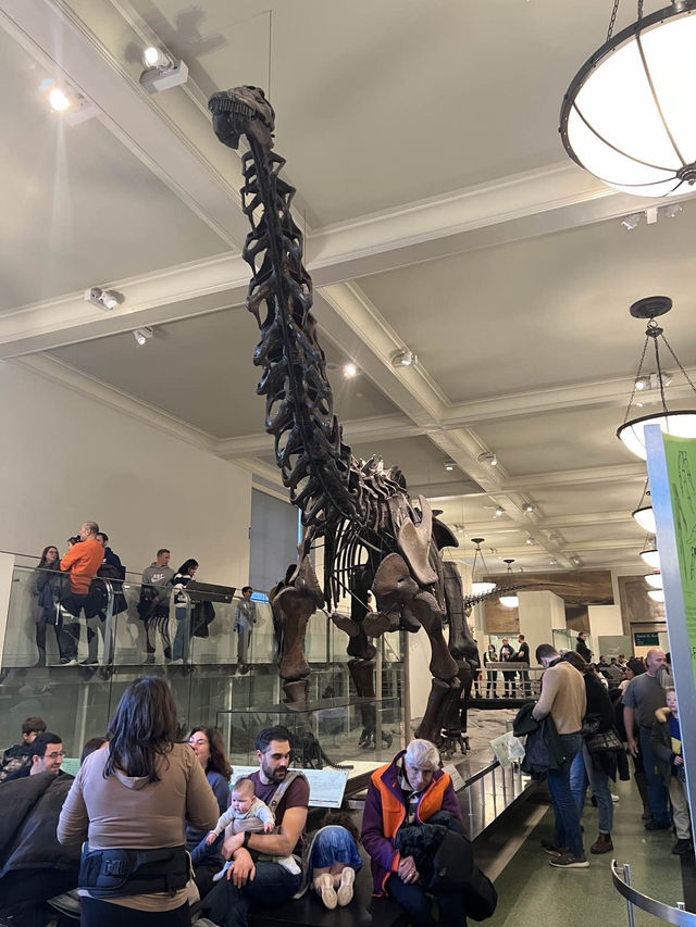 ［紐約旅行］紐約自然歷史科學博物館American Museum of Natural History🦴晚上會活起來的博物館