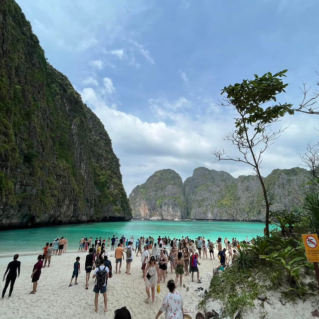 🐠 Maya Bay – Where the Cliffs Meet the Sea