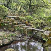 🌸⛰️ Yangming Park – The Heart of Yangmingshan 🌳✨