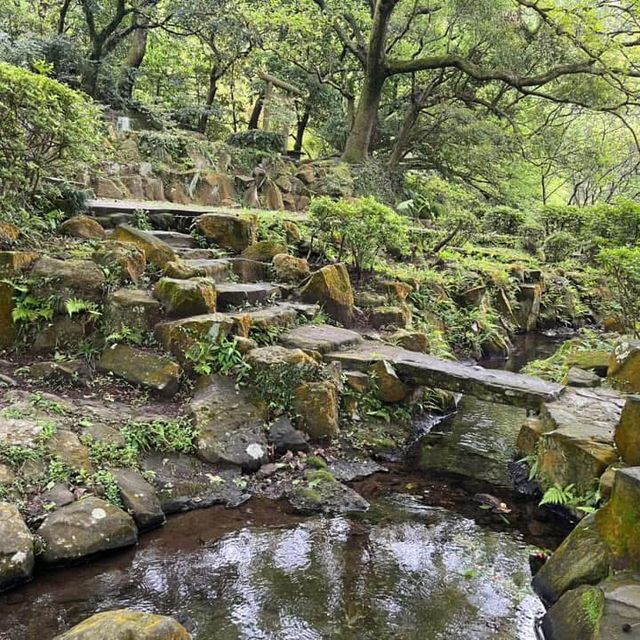 🌸⛰️ Yangming Park – The Heart of Yangmingshan 🌳✨