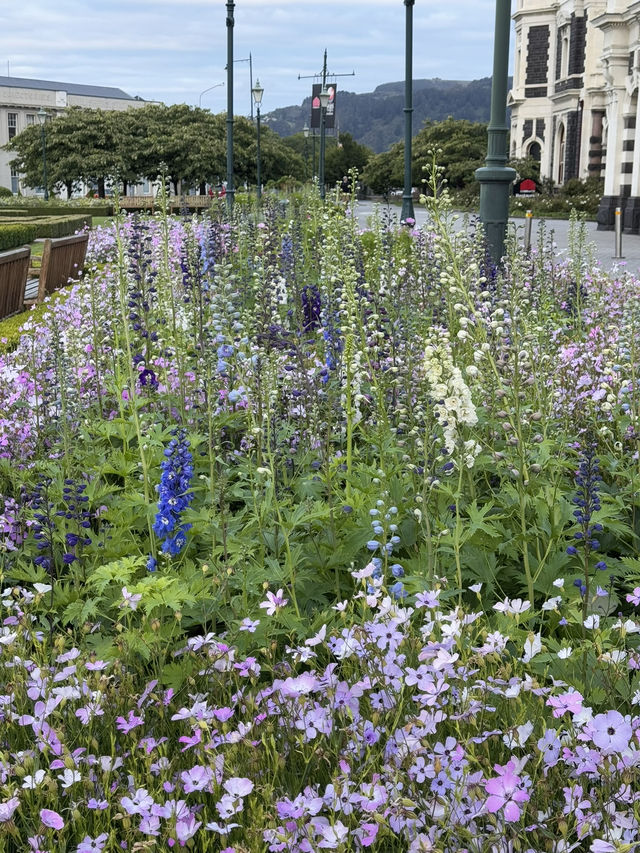 【ニュージーランド・ダニーデン】世界一美しいと称される駅「ダニーデン駅」🏛️🌿 【ニュージーランド・ダニーデン】世界一美しいと称される駅「ダニーデン駅」🏛️🌿