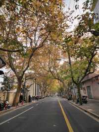 Shanghai Autumn Walk🍂