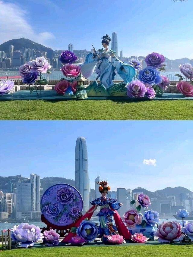 紫霞仙子在維港