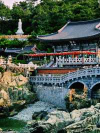 부산 해동용궁사, 가을바다와 함께한 야외데이트