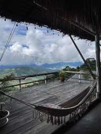 U Garden ดอยช้าง เชียงราย 