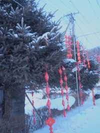 China Snow Valley (中国雪谷) : สวรรค์แห่งหิมะขาวโพลน