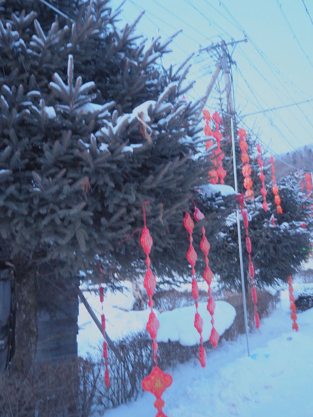 China Snow Valley (中国雪谷) : สวรรค์แห่งหิมะขาวโพลน