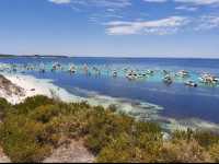 Quokkas, Beaches, and Pure Island Bliss at Rottnest