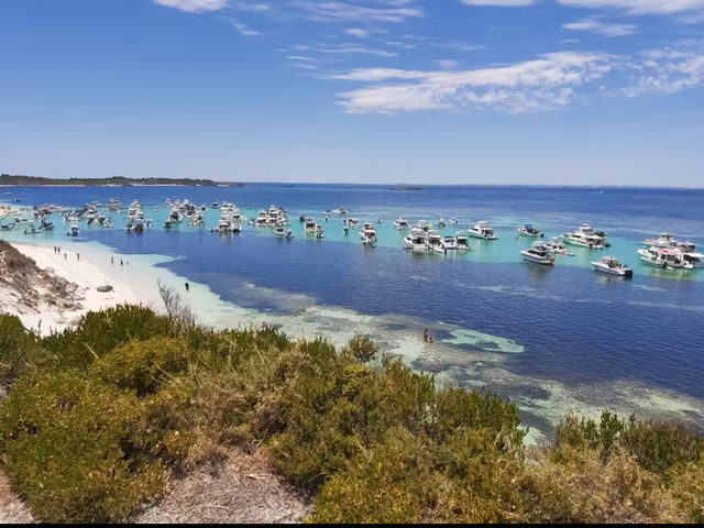 Quokkas, Beaches, and Pure Island Bliss at Rottnest