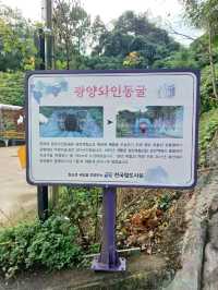 🍷 불빛 아래 빛나는 감성, 광양 와인동굴