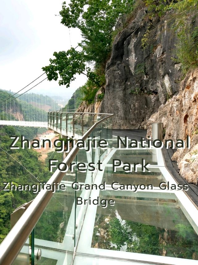 Zhangjiajie National Forest Park @ China