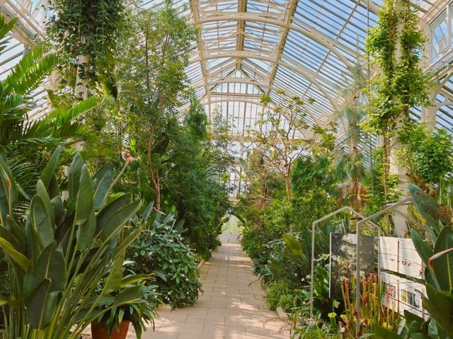 어여쁜 수련이 가득한🌺 영국 큐가든 워터릴리 하우스