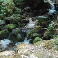 Cascade du Hohwald – The Hidden Gem of the Alsatian Forests