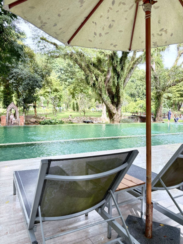 Flora Creek Chiang Mai 🌿🏞️ 