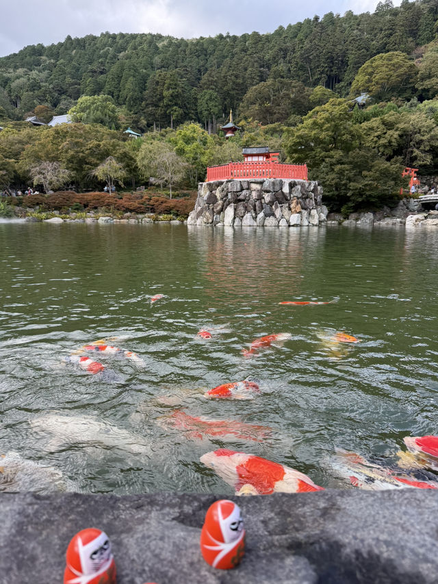 勝尾寺｜在日本遇見「小台灣」的奇妙緣分 