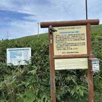 北海道神威岬自然公園