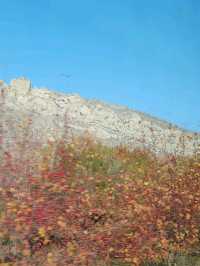 A Journey through the Autumn Valley