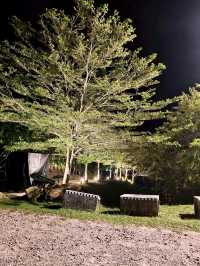 Discover Night Scene View Culture Meets Kefi🌾