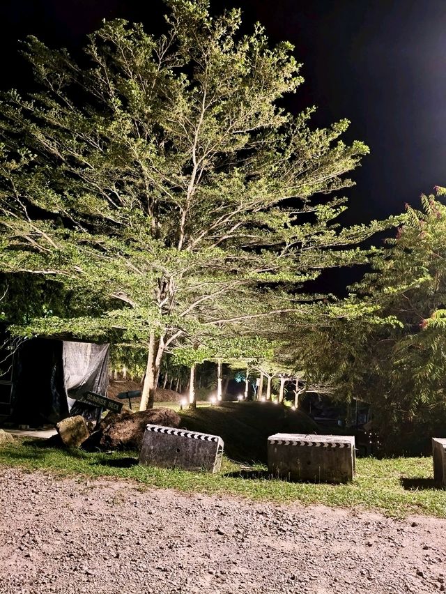 Discover Night Scene View Culture Meets Kefi🌾 Discover Night Scene View Culture Meets Kefi🌾