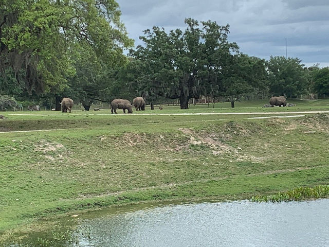 Busch Gardens - Good for quality family time