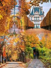 🍂 Paris – Autumn Romance Beneath the Golden Leaves 🇫🇷✨