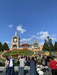 Shanghai Night Magic✨