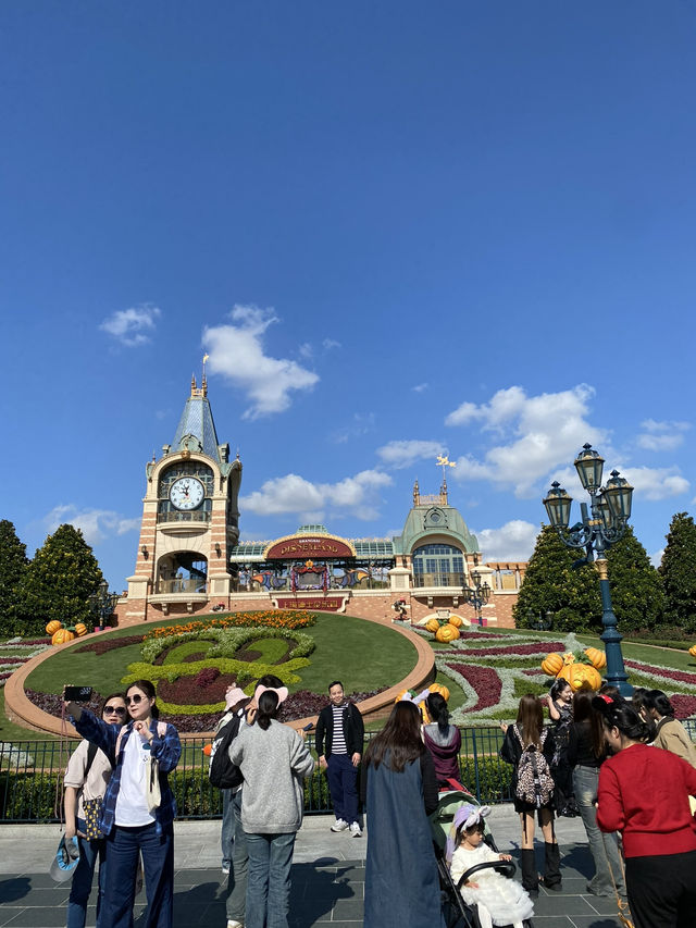 Shanghai Night Magic✨