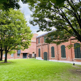 北海道大学红砖校园漫步攻略