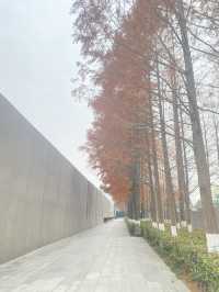 南京：六朝煙水裡的悲歡史詩，梧桐深處的涅槃重生