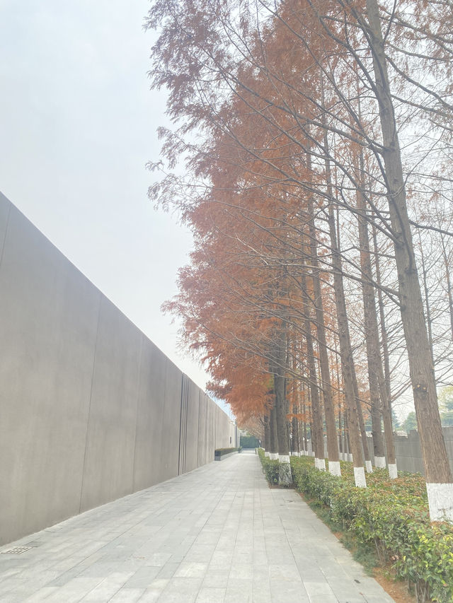 南京：六朝煙水裡的悲歡史詩，梧桐深處的涅槃重生