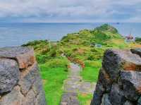 ์ ์ฃผ์ฌํ ์ถ์ฒ ์ฝ์ค ๐์ฐ๋ฐฉ์ฐ