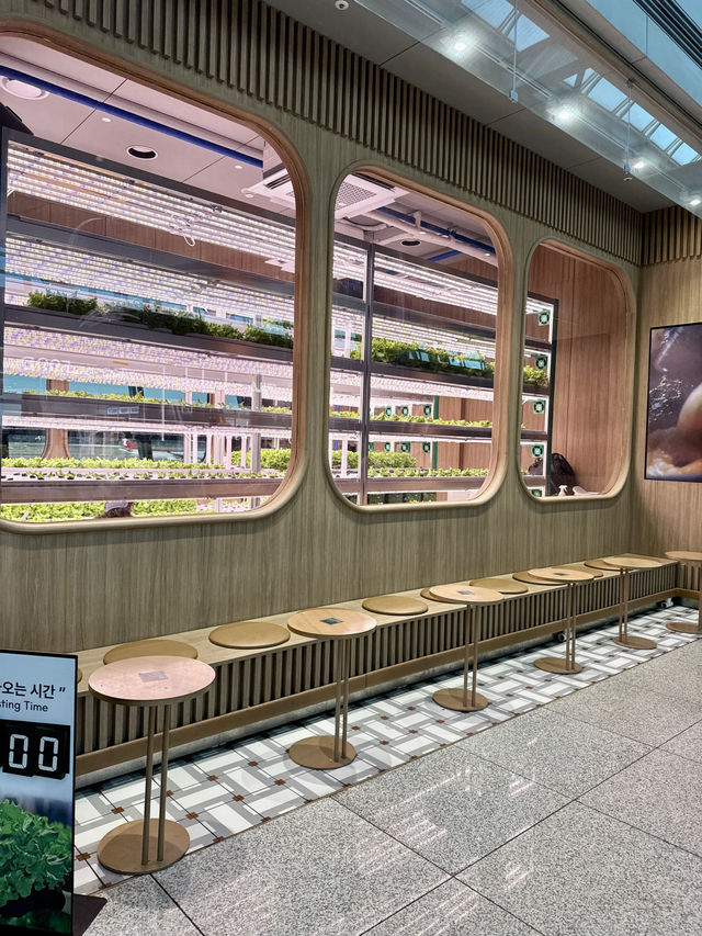 Fresh & Stylish Airport Café at Incheon T1 ✈️🥗 Fresh & Stylish Airport Café at Incheon T1 ✈️🥗