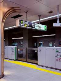 Osaka Leaf Bliss🍁  