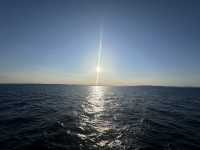 Sydney Signs Tripcom🏙️