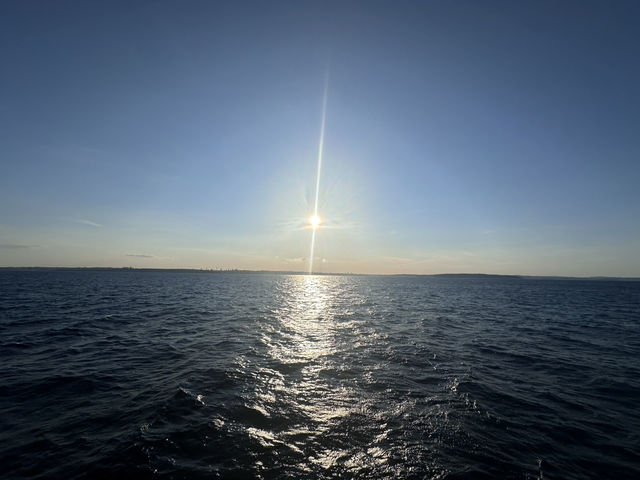 Sydney Signs Tripcom🏙️