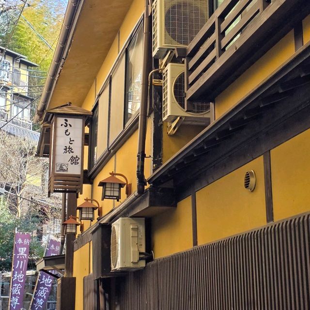 ​[구마모토] 아소 버스 투어 오후 일정 & 현지인 맛집 '도이치' 뒤풀이 (다이칸보 절경 & 오코노미야키)