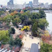 🏯廣島城好好拍!歷史、風景、通通一次滿足!📸✨