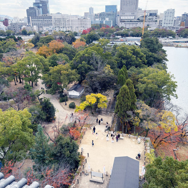 🏯廣島城好好拍!歷史、風景、通通一次滿足!📸✨ 🏯廣島城好好拍!歷史、風景、通通一次滿足!📸✨